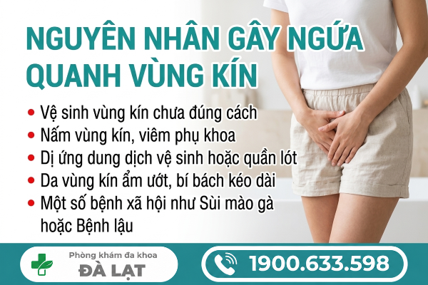 Hình ảnh minh họa